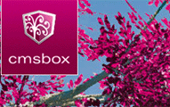 plakativ-online-marketing-cmsbox.gif Externe Seite: plakativ-online-marketing-cmsbox.gif