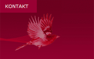 plakativ-online-marketing_fink-medien.gif Externe Seite: SEO und Google AdWords Beratung by PLAKATIV