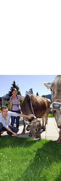 hotel-edelweiss-davos--sommerferien.jpg